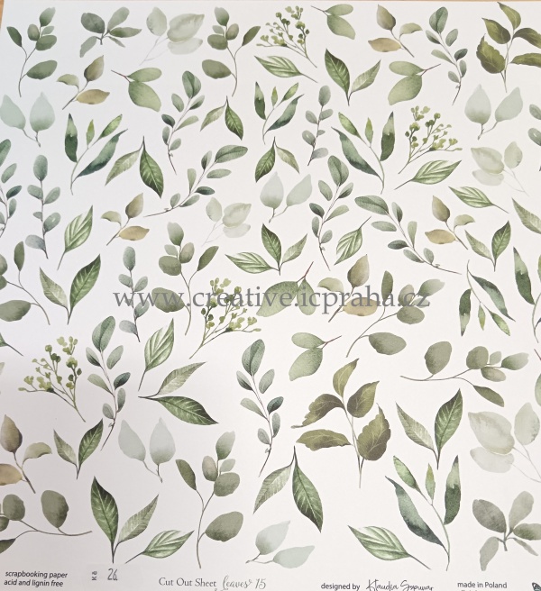 ScrapAndMe Listy 15 30.5x30.5cm 250g/m2